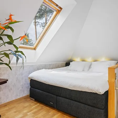 ヴィラ Muusa With A Cozy Sauna, Swimming Pool And Large Beautiful Garden