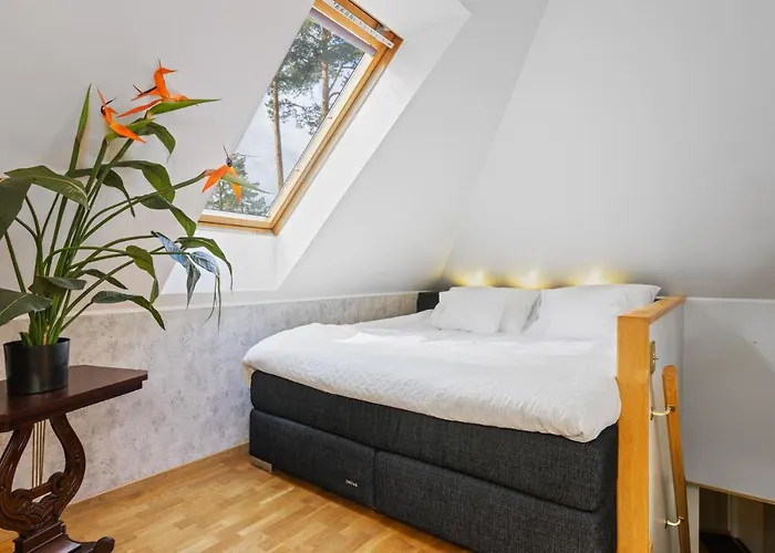 Villa Muusa With A Cozy Sauna, Swimming Pool And Large Beautiful Garden