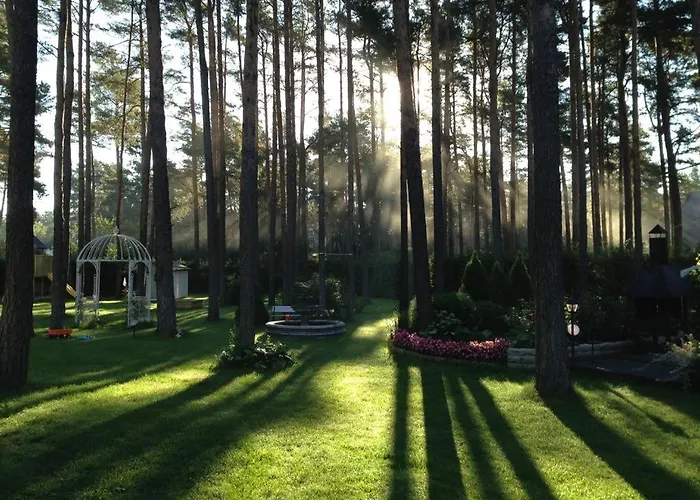 Muusa With A Cozy Sauna, Swimming Pool And Large Beautiful Garden Villa *