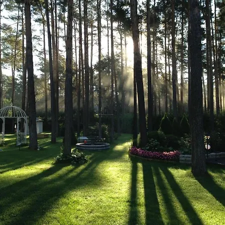 Muusa With A Cozy Sauna, Swimming Pool And Large Beautiful Garden 빌라 *